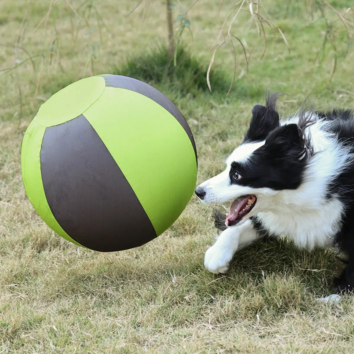 Pelota Gigante De Pastoreo Para Perros Inflable masticación para cachorros