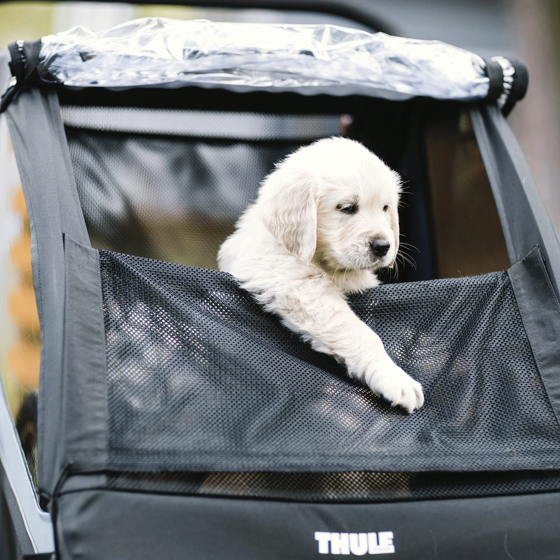 Thule, Courier Dog Trailer Kit, Kit De Remolque De Perros, Neutral, U, Admirador Unisex