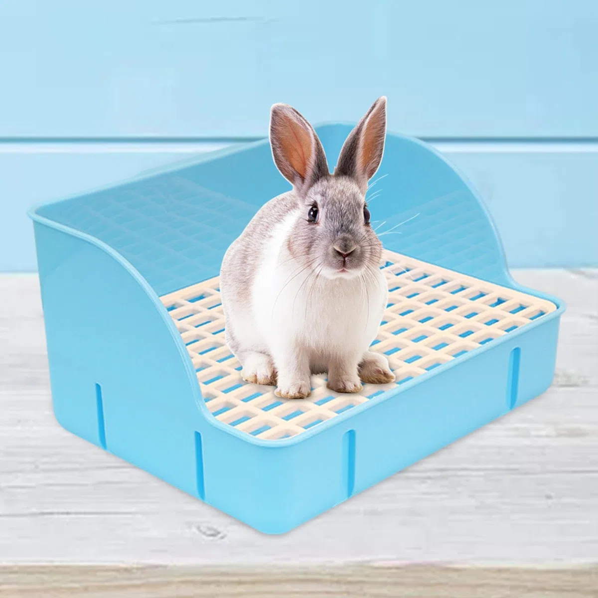 Arenero para Gatos para Jaula, Arenero para Jaula, Bandeja de Arena con Diseño, Arenero de Esquina para Cobayas Y Chinchillas, Malla de PP Azul