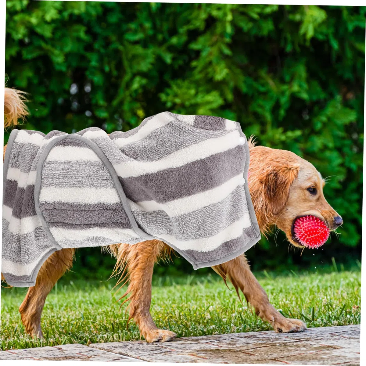 BESPORTBLE 3piezas Toalla De Baño para Perros De Suave y Transpirable Bata Absorbente para Mascotas Secado Rápido y Cómodo Diseño Elegante