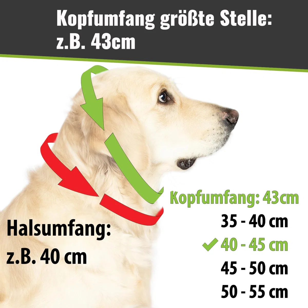 copcopet – Grasa Collar de piel trenzada con tren Stop de anillo – Cromado y latón