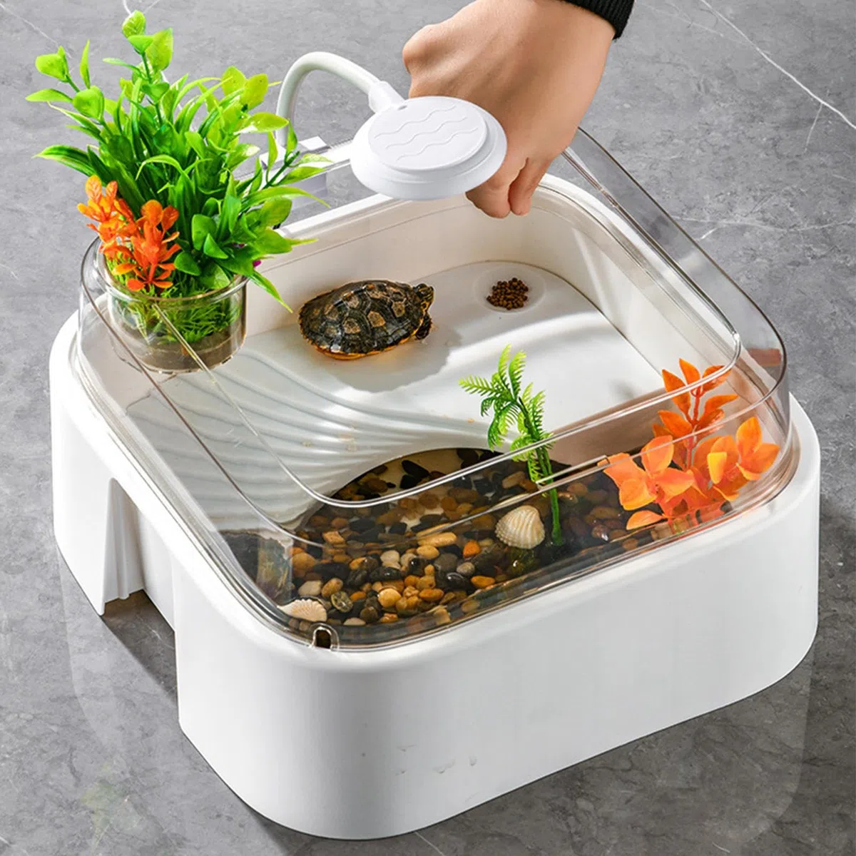 Acuario para Tortugas Terrario para Reptiles con Accesorios
