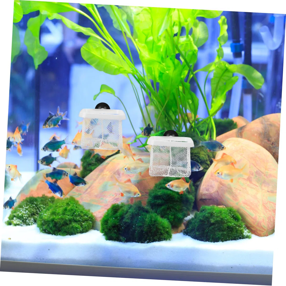 Kisangel 20 Piezas De Red para Pecera Caja De Cría De Peces Accesorios para Pecera Red para Divisor De Divisor De Cajas para Incubar para Cría De Peces De