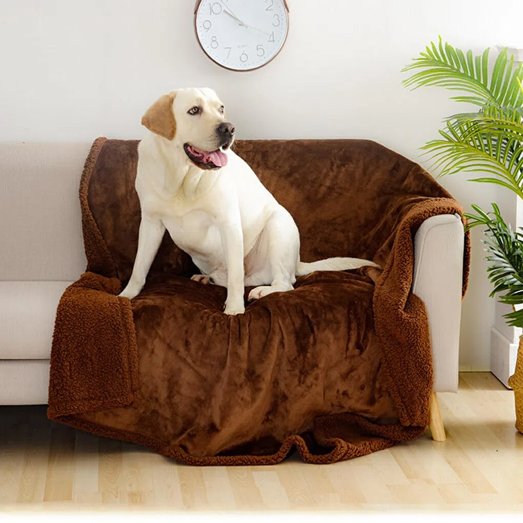 Manta impermeable para gatos, tela de protección para muebles suave y cómoda, manta impermeable para perros, manta para Gato, Gris L