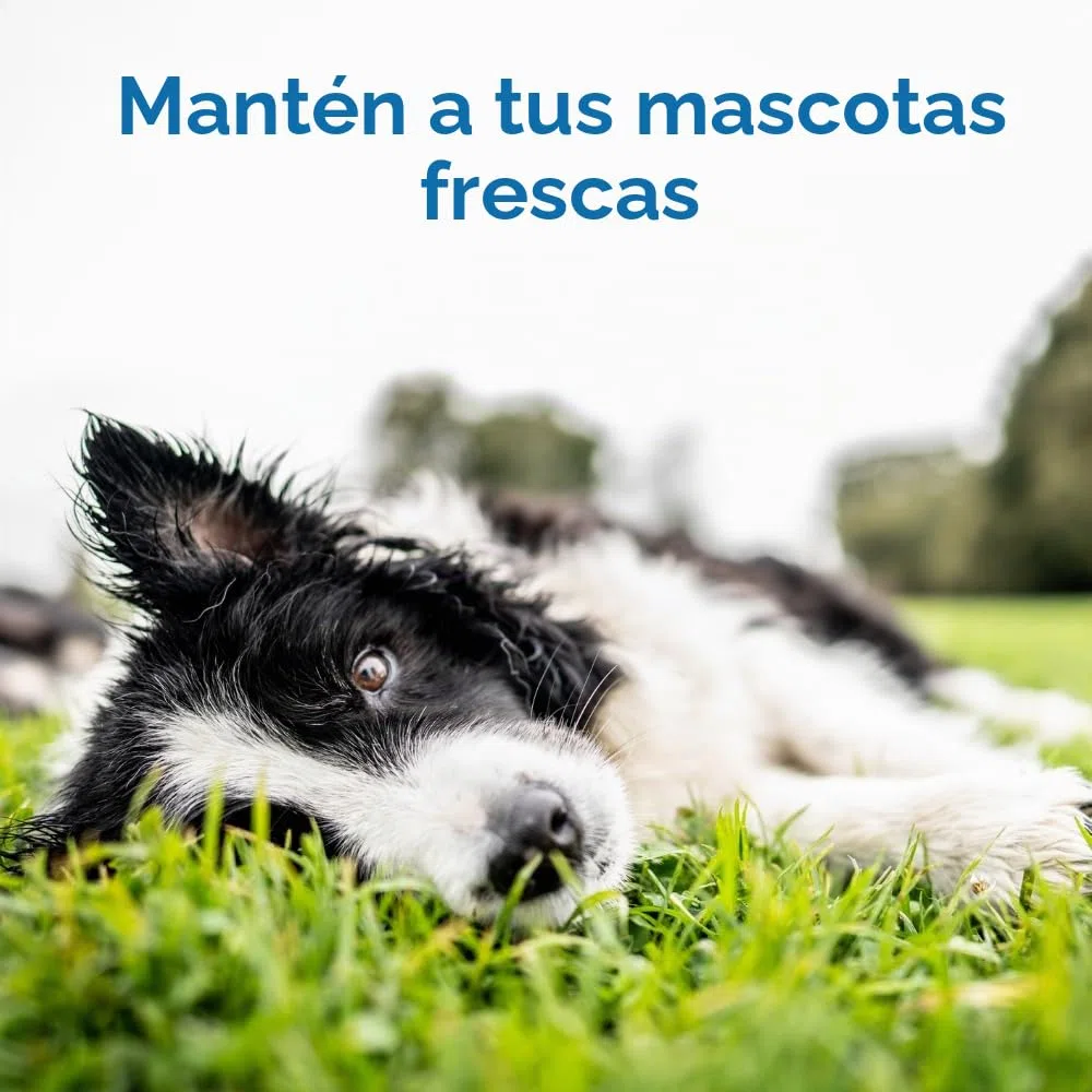 THEGREENPETSHOP Cool Pet Pad Alfombrilla autorefrescante, Mediana, activada por presión para Perros y Gatos de 53-114 cm, Gel no tóxico, no Necesita Agua, Azul