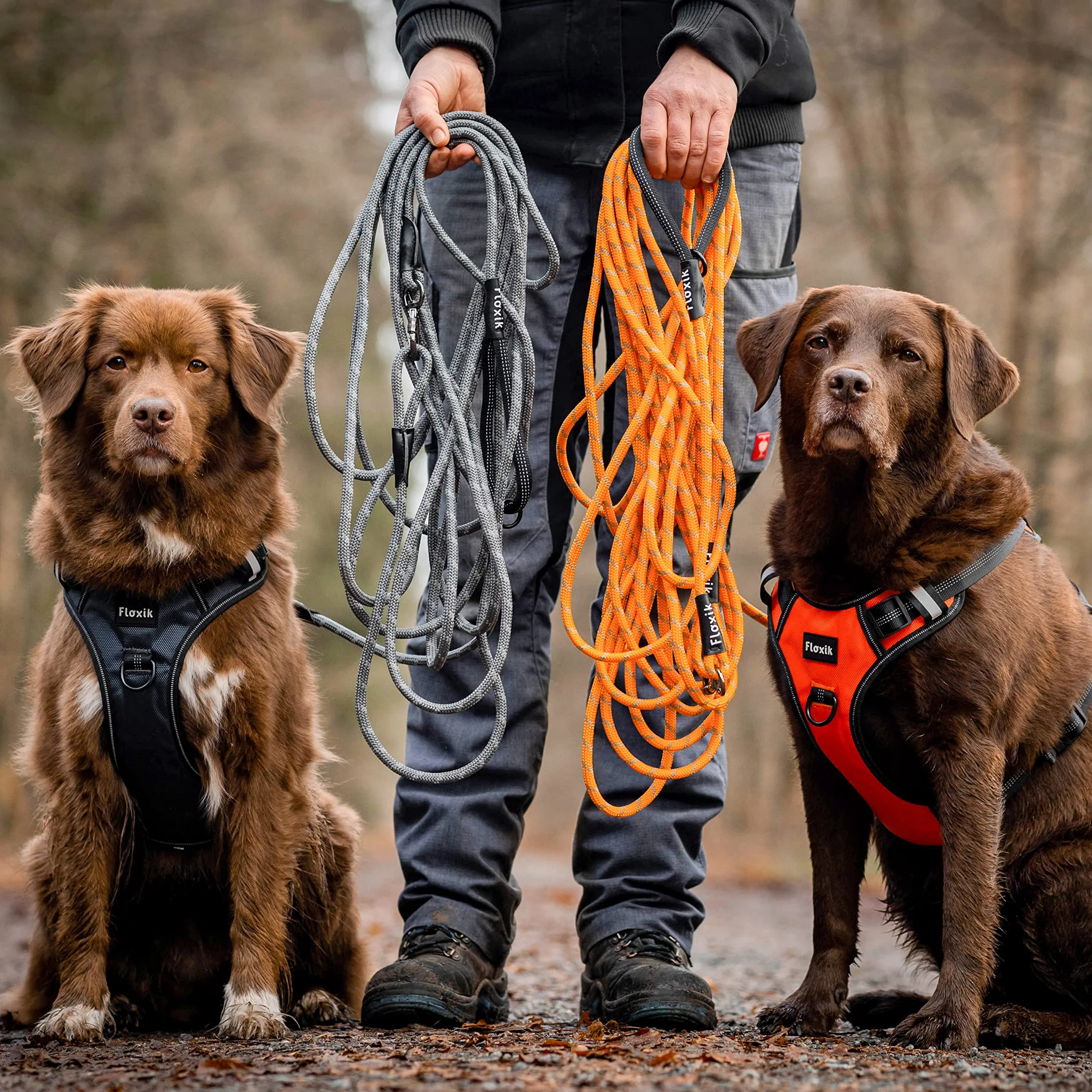 Floxik Correa de arrastre para perros | 5 m, 10 m, 15 m, 20 m gris, correa reflectante con correa de mano extraíble, también ideal como correa de entrenamiento para cachorros