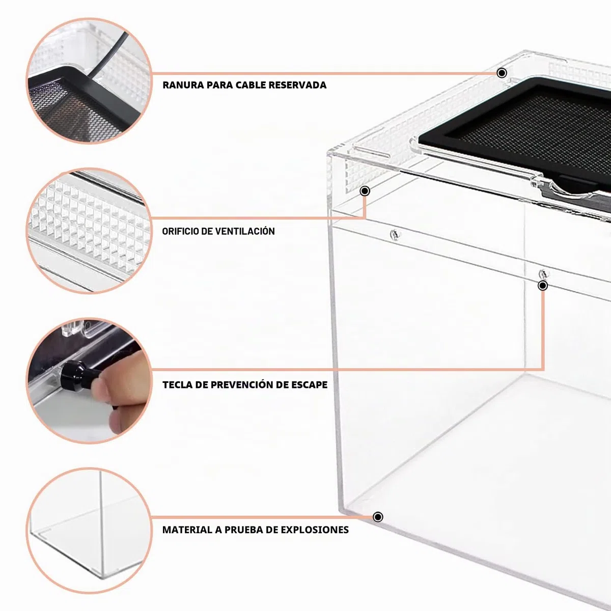 Reptile Growth Kit de terrario para reptiles, 40.6x20.3x25.4 cm, jaulas de hábitat de anfibios, cuenco de agua para alimentos, lavabo con ventosa para lagarto barbudo Dragon Gecko