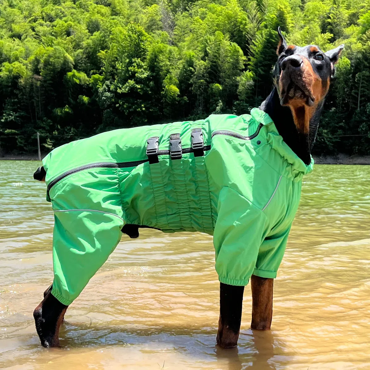 Chaqueta impermeable para perros, chaqueta impermeable ligera e impermeable reflectante de seguridad para perro, resistente al viento, chaleco para perros pequeños, medianos y grandes, verde, S