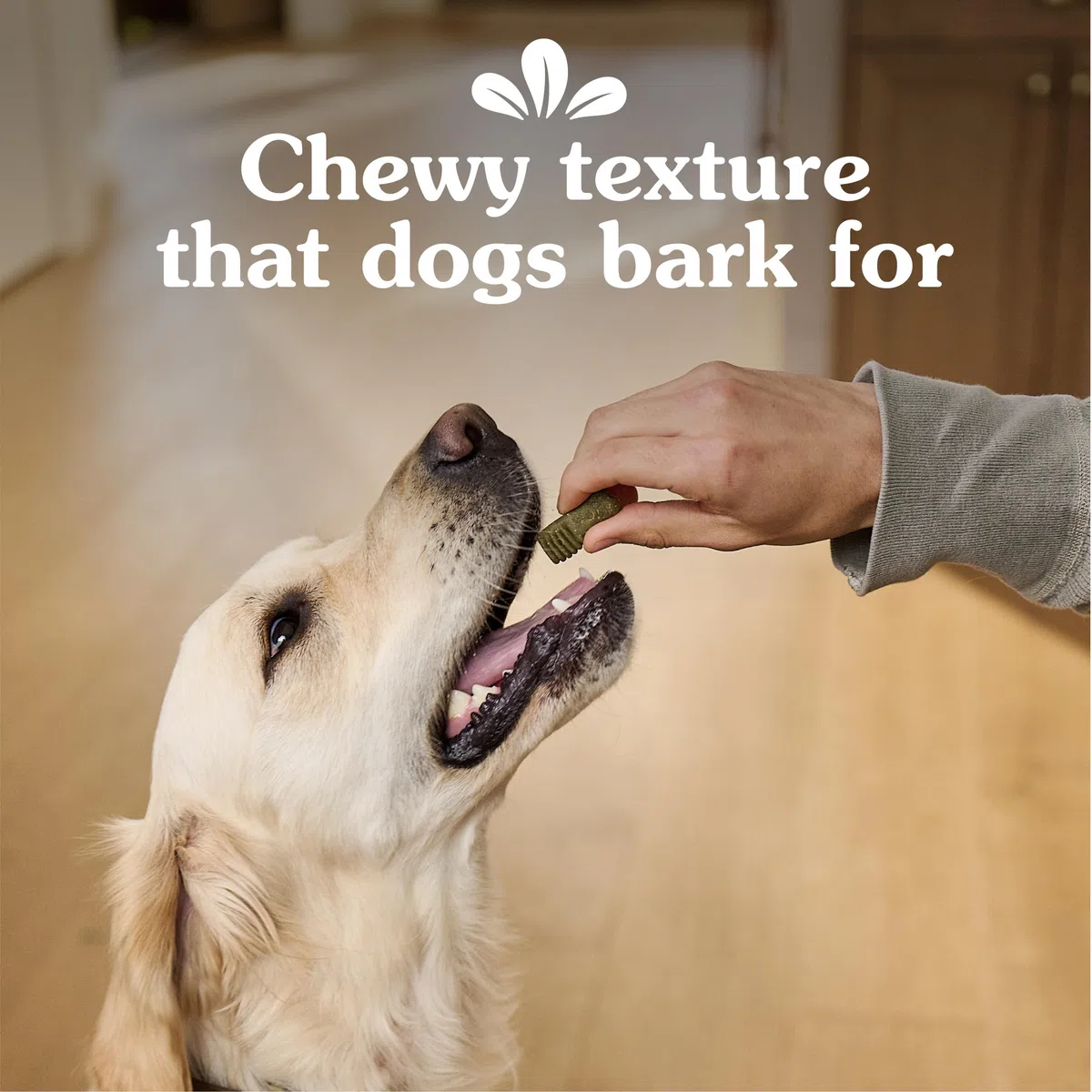 GREENIES Anytime Bites - Golosinas para Perros, Sabor a Menta, Bolsa de 24 onzas