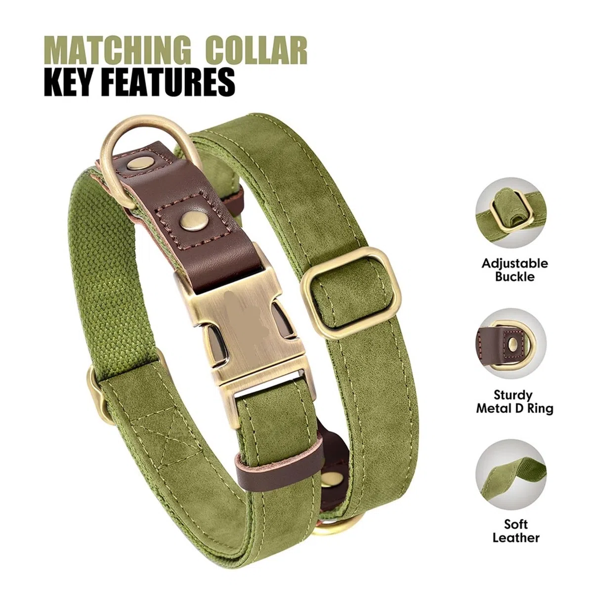 Collar for Perros con Cuerda, Tallas SL