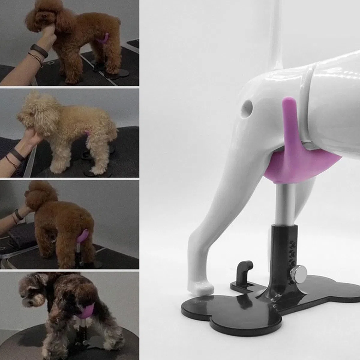Ayuda para caminar perros mayores con pierna ajustable para mascotas de pie para mascotas, dispositivo de asistencia para rehabilitación canina