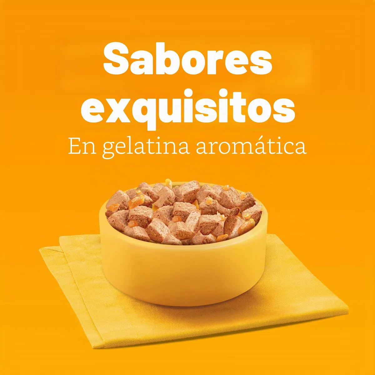 Pedigree Comida húmeda para adultos para perros con pollo y zanahoria en jalea, 6 x 1200 g (6 latas)