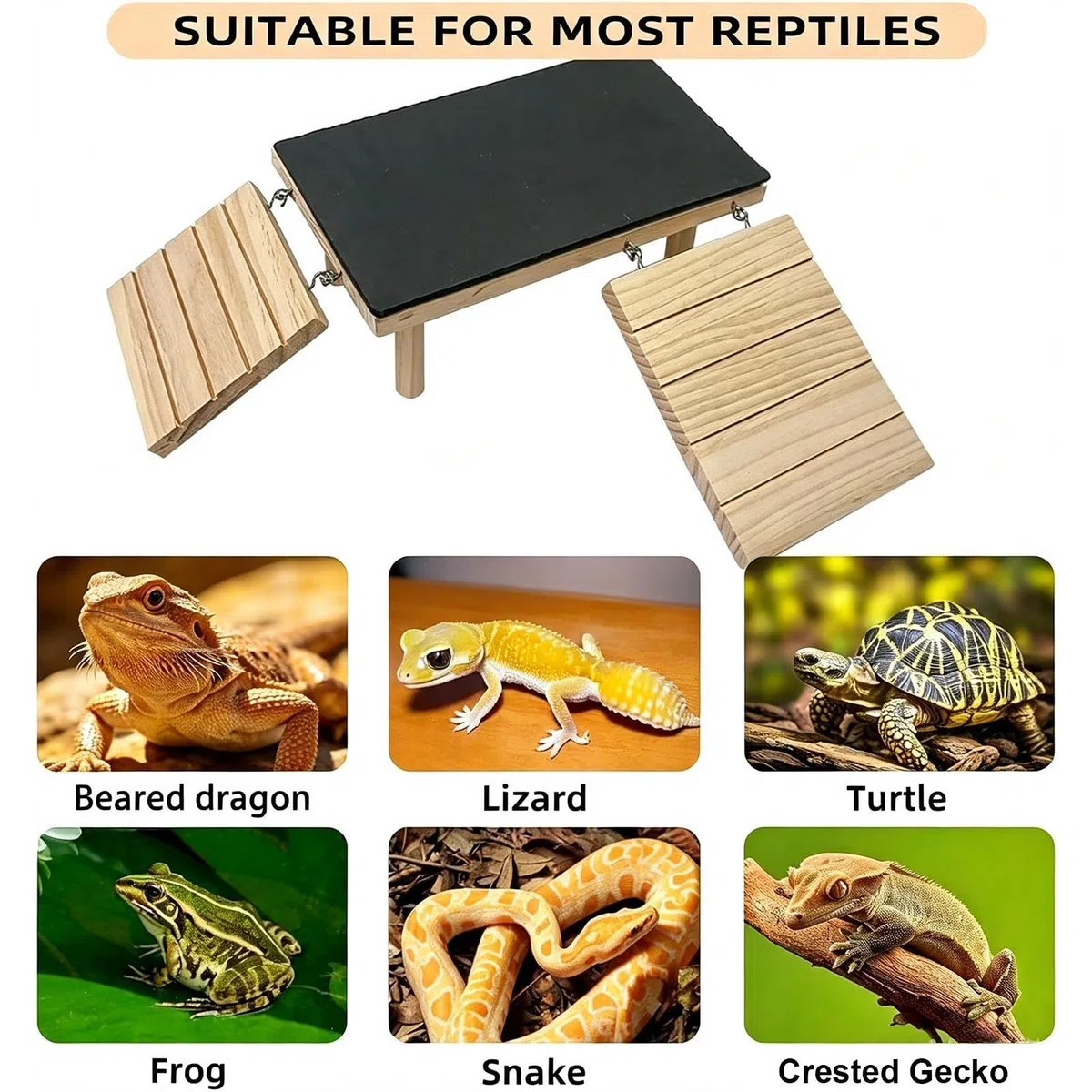 Plataforma de asoleo en terrario para Reptiles Fácil Instalación Plana con