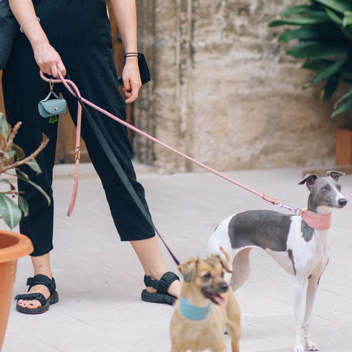 Dispensador de bolsas de cuero para excrementos de perro, portátil y reutilizable, soporte para bolsas de excremento de perro, para caminar, al aire libre, viajes (azul)