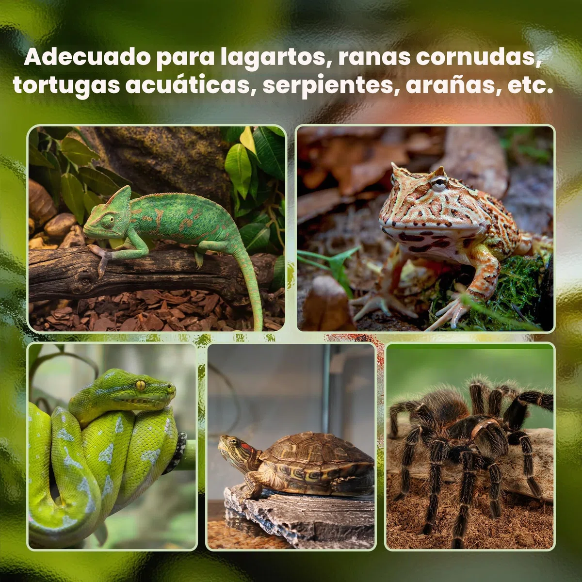 PawHut Caja de Reptiles para Reptiles, terrario, Transparente, Tapa Deslizante, Rejilla metálica, dispensador de Agua, termómetro, Incluye Cristal, Metal, 50 x 30 x 35 cm, Color Negro