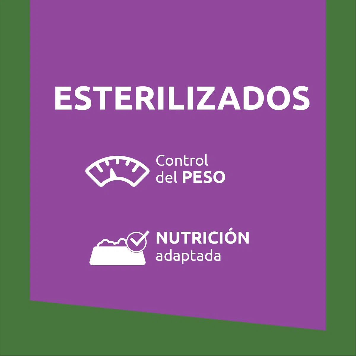 Ultima Comida Húmeda para Gatos con Buey y Atún, 12 x (4 x 85 gr), 4080g & Pienso para Gatos Esterilizados Adultos con Salmón 4 x 1.5 kg