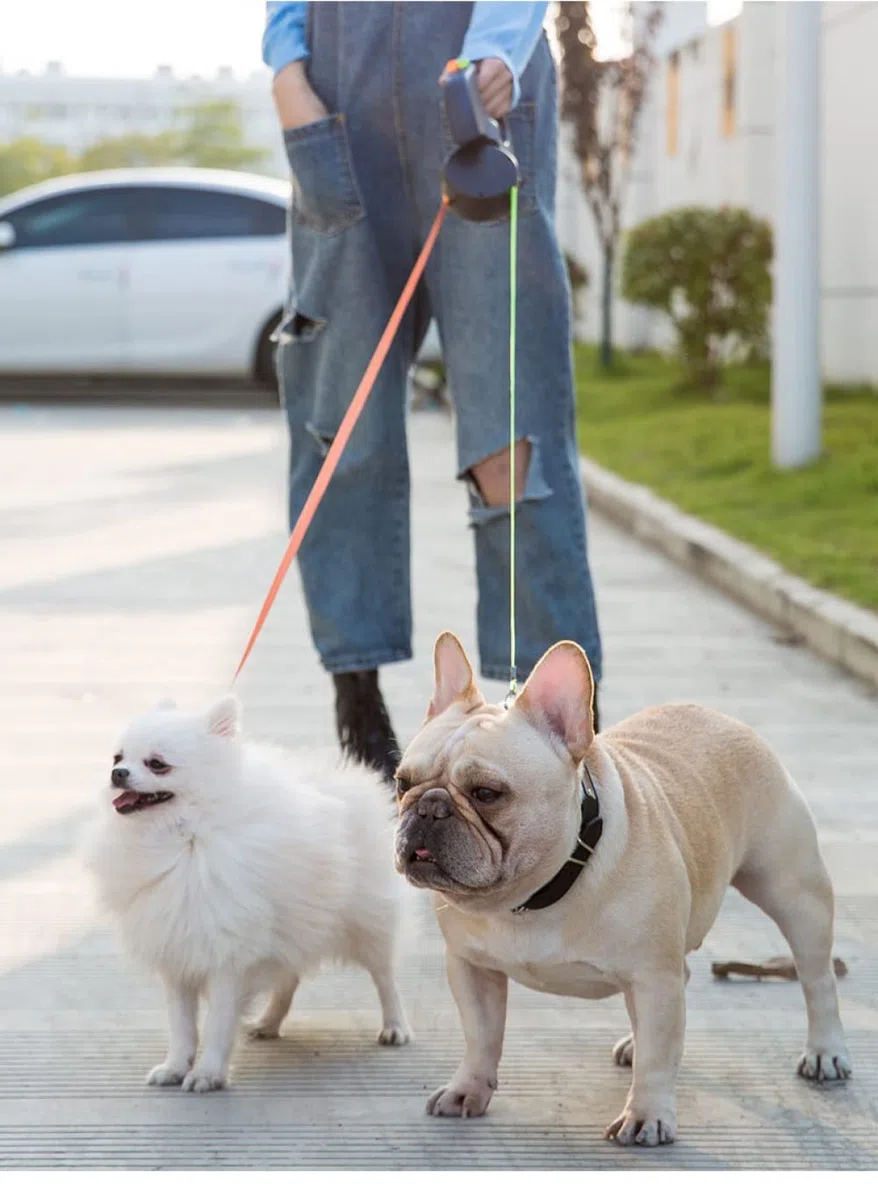 Correa retráctil doble para perro - Correa extensible para mascotas de 10 pies, resistente, de doble cabeza, con cerradura, con linterna LED, bolsas para caca, cuerda elástica reflectante - 360 grados