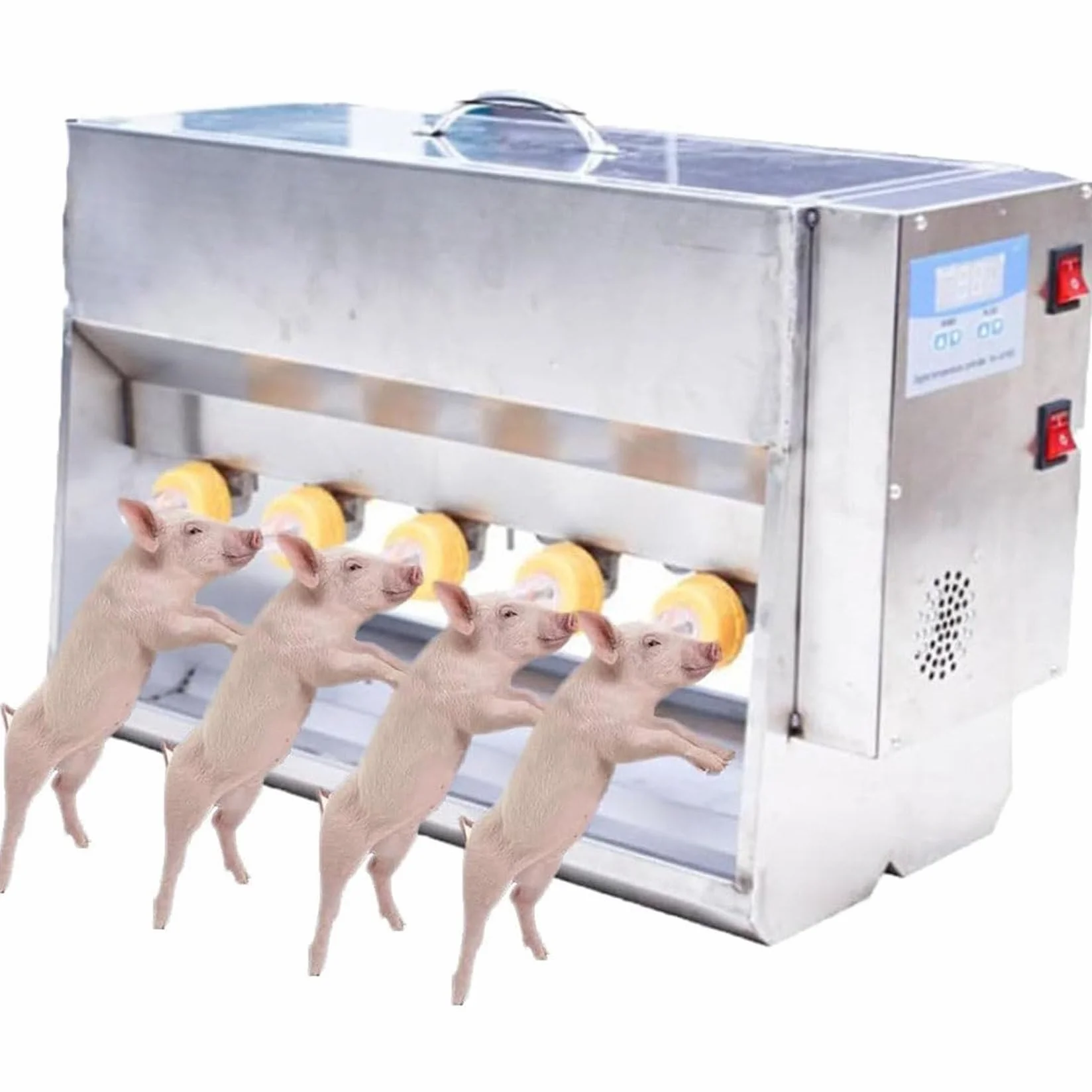 Biberón de lactancia de acero inoxidable para lechones y corderos, alimentador multipezón, fácil de limpiar, solución de cuidado duradera para ganaderos