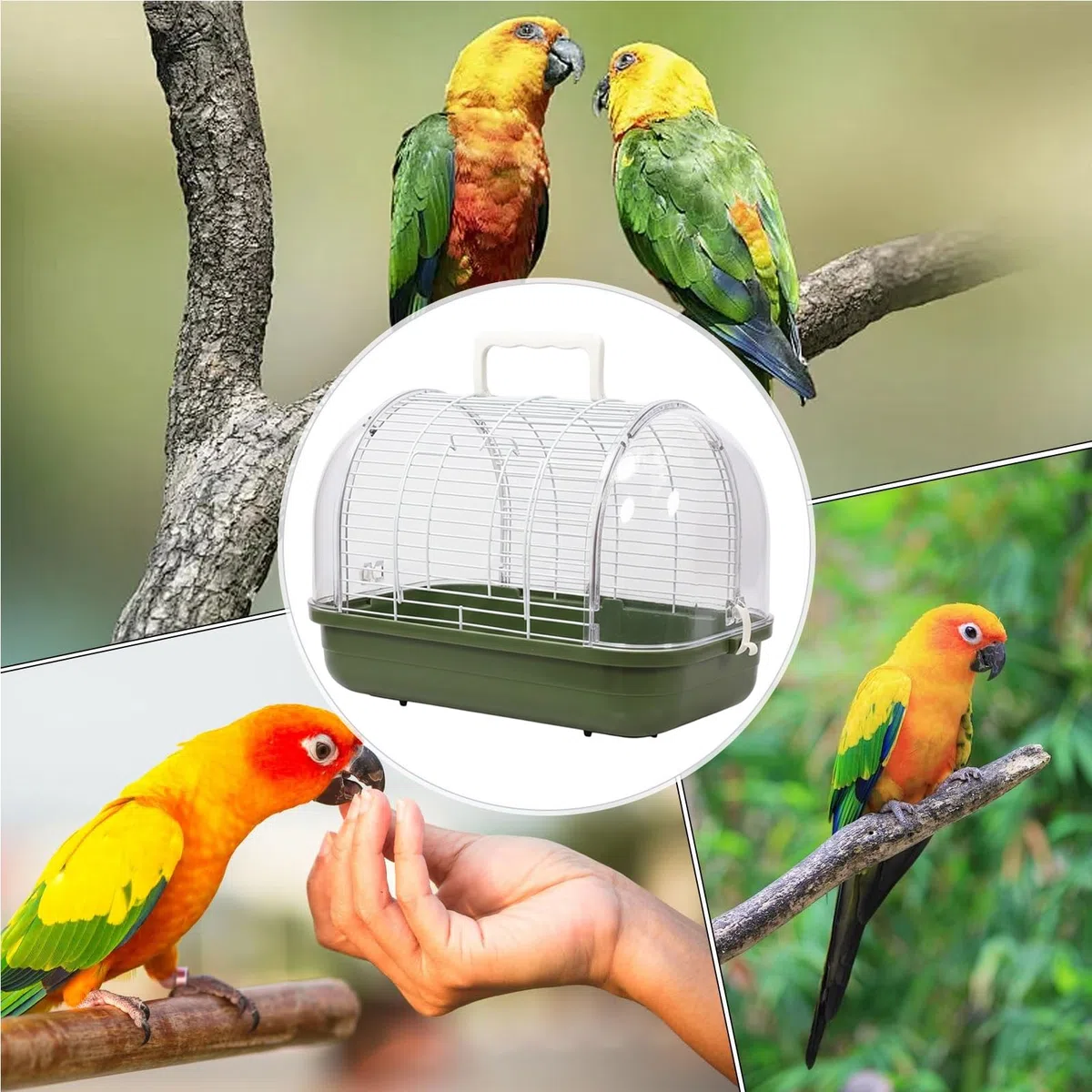 Jaula De Aves Para Viaje para Aves Transparente y a Prueba de Sol con Asa | Jaula Para Cacatúas Con Vista Completa Para Periquito Conure Cacatúa Ninfa Canario Agapornis Pinzón Salón Balcón