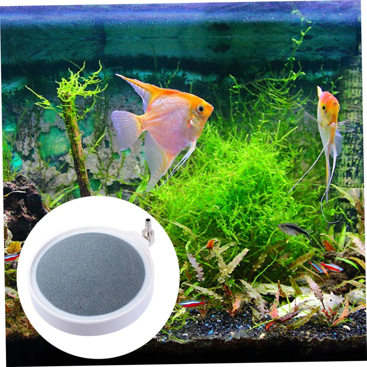 2piezas Piedra De Aire para Acuarios Difusor De Burbujas De Accesorios para Peceras De Agua Dulce y Salada Fácil Instalación Aumenta El Contenido De y Circula Nutrientes
