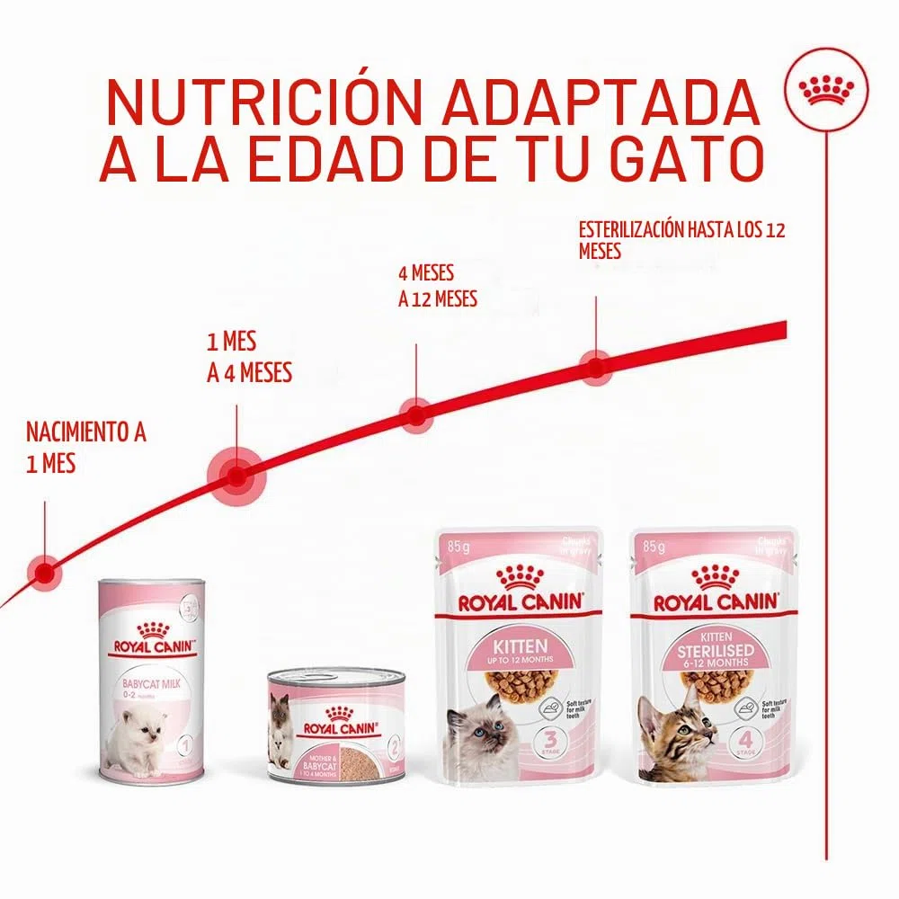 Royal Canin Mother & Babycat Mousse | 12 x 195 g | Alimento Completo para Gatos | Especialmente para la Gata Madre y Sus Gatitos | para apoyar Las defensas Naturales