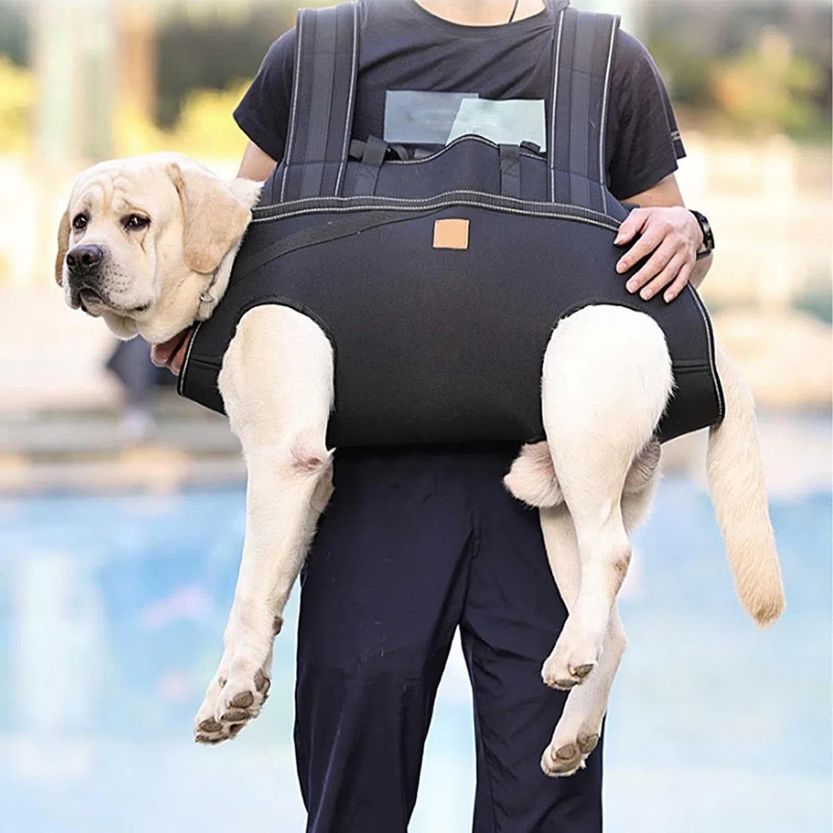 Arnés Corporal Completo para Perro Correa de Soporte Ajustable y | Arnés de Asistencia Canina Para Perros de Raza Grande, Mayores, Rehabilitación, Ayuda a la Movilidad, Paseos Diarios