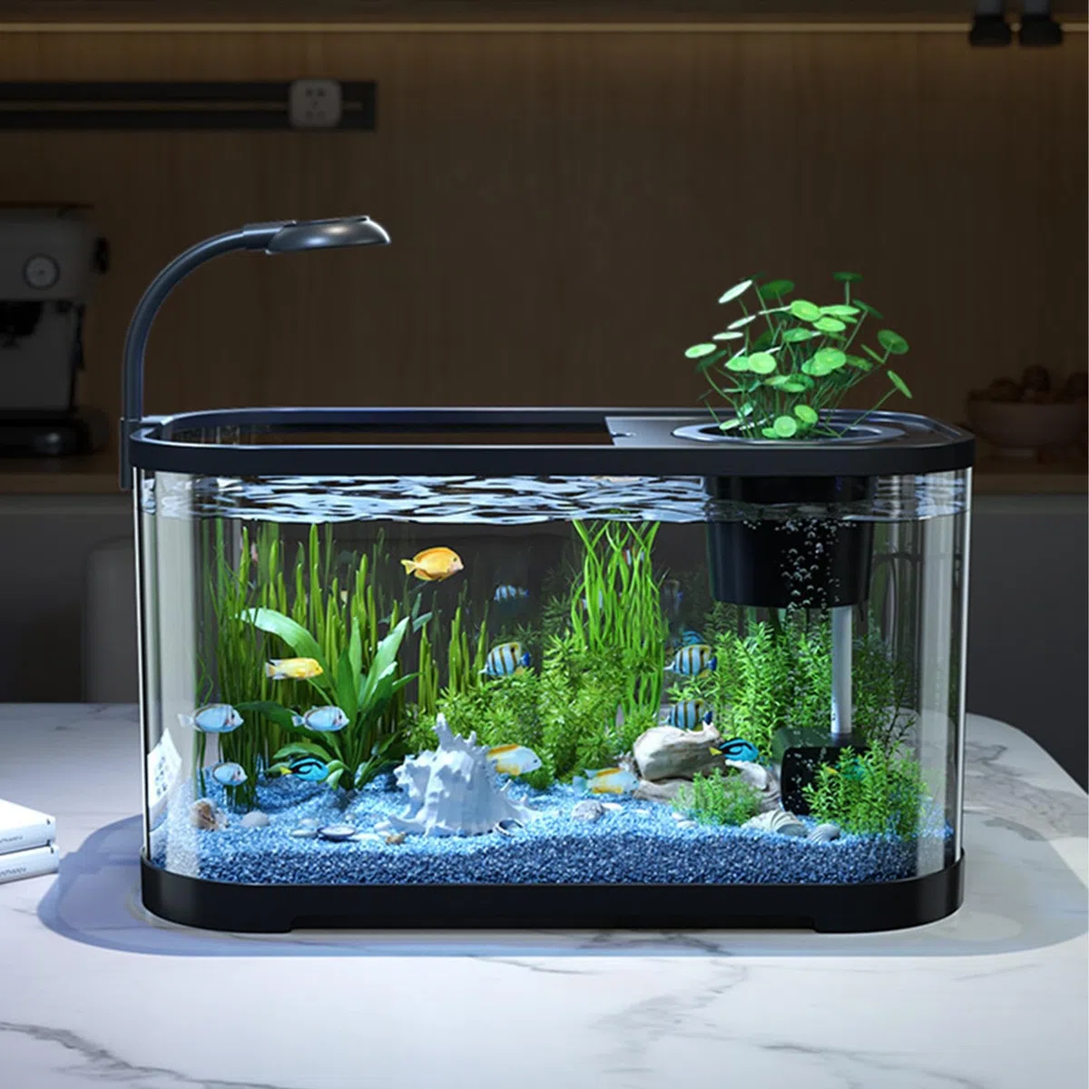 Kit de Acuario pequeño Pecera Silenciosa con Filtrante | Pecera para peces Betta apta para principiantes Transparente Decorativo Para Galápagos, Tortugas, Ranas, Animales Acuáticos,