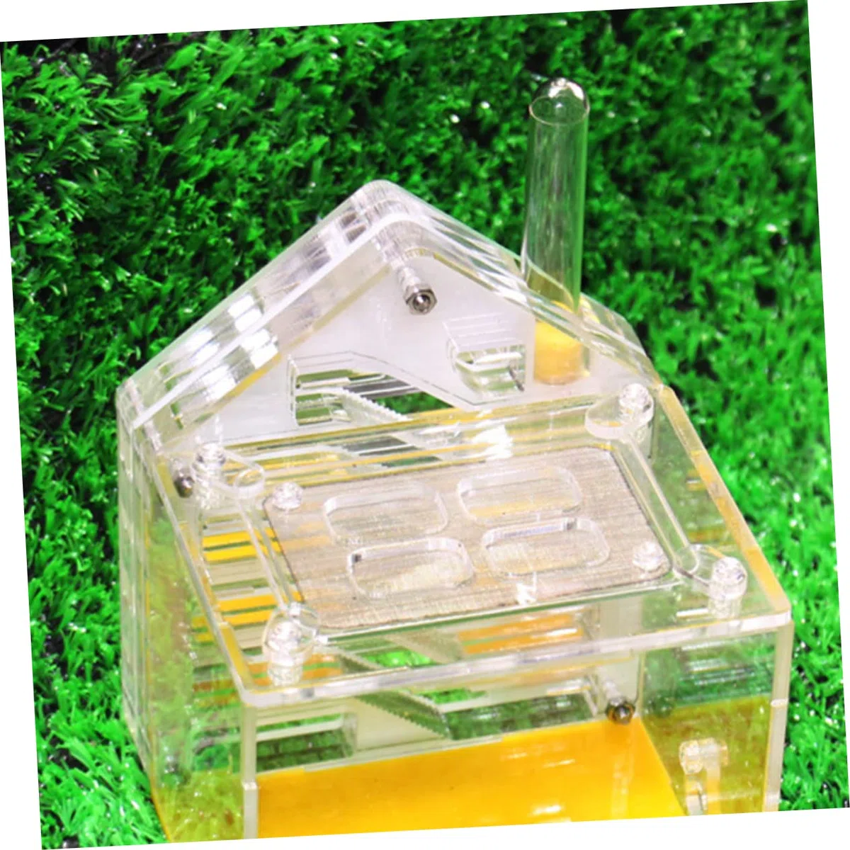 TOYANDONA Juguete Nido de Hormigas Regalo hábitat Granja de Hormigas Transparente Acrílico terrario