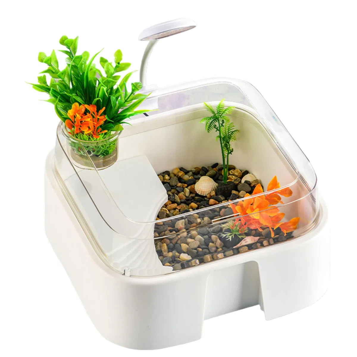 Acuario para Tortugas Terrario para Reptiles con Accesorios