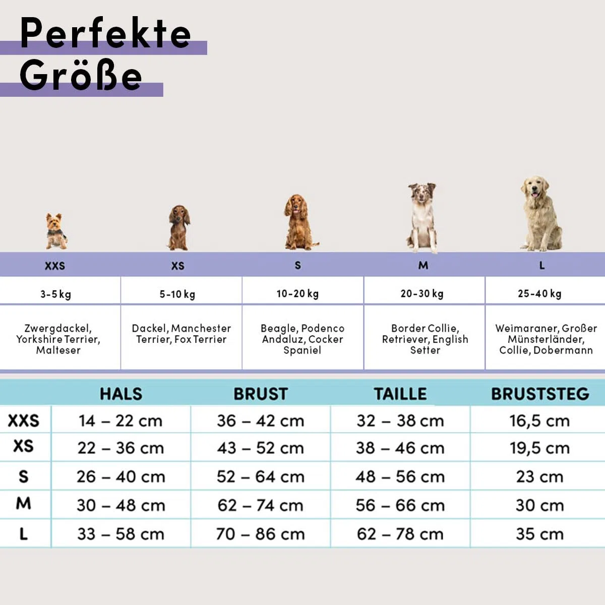 STUCH Arnés para perros – Arnés ajustable de nailon – acolchado – para perros pequeños, medianos y grandes (gris, XXS)