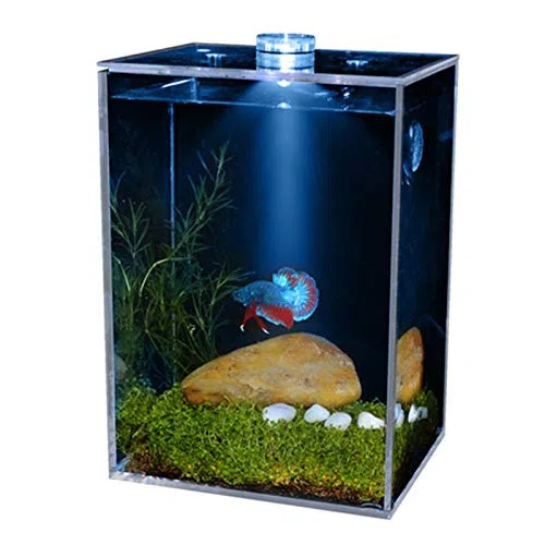 Acuario Pequeños tazones de Pescado Transparente Ultra-Transparentes Cuadrados DIRIGIÓ Acuario del Tanque de Peces DIRIGIÓ Calentador con Planta de imitación de paisajismo. Pecera(Blue Lighting,M)