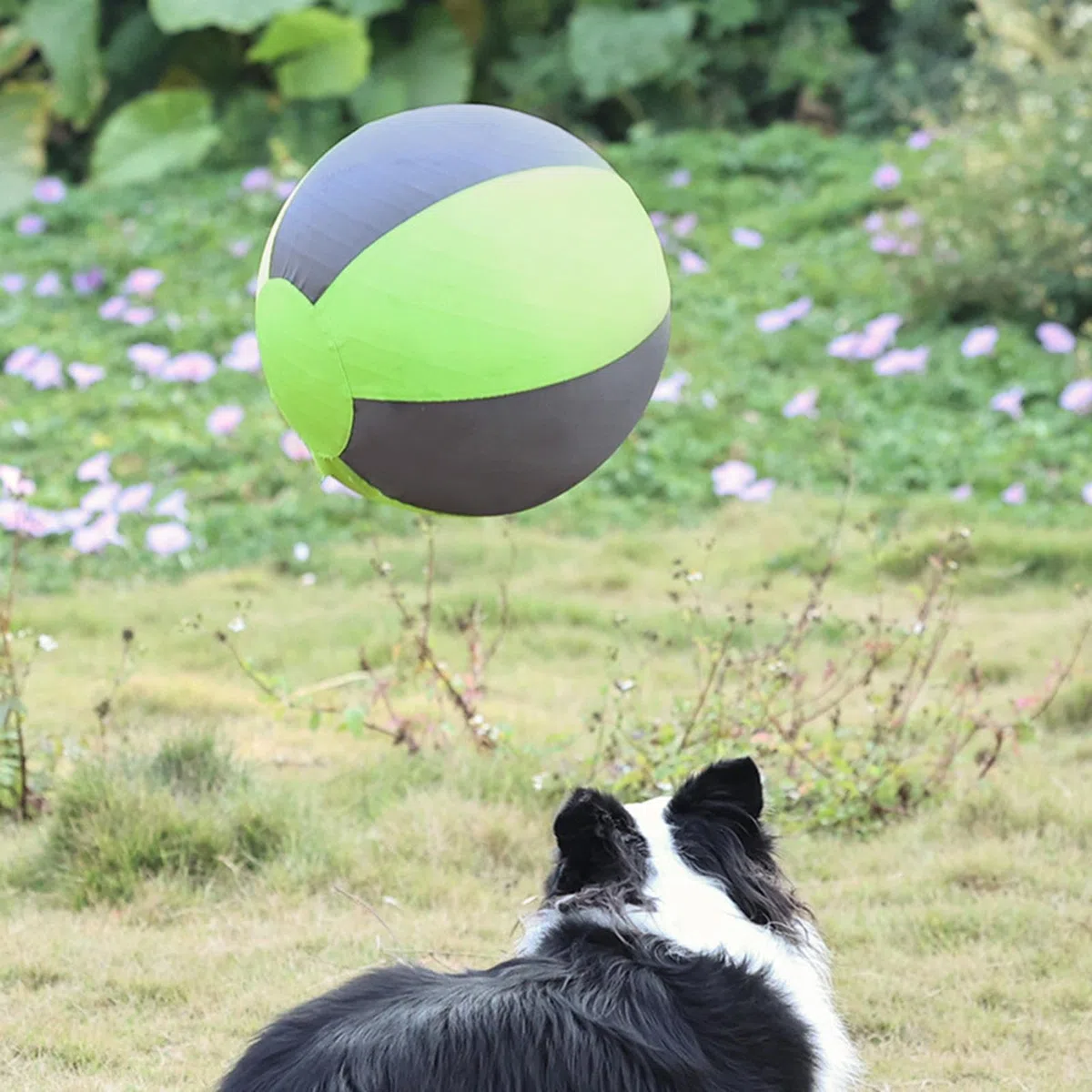 Pelota Gigante De Pastoreo Para Perros Inflable masticación para cachorros