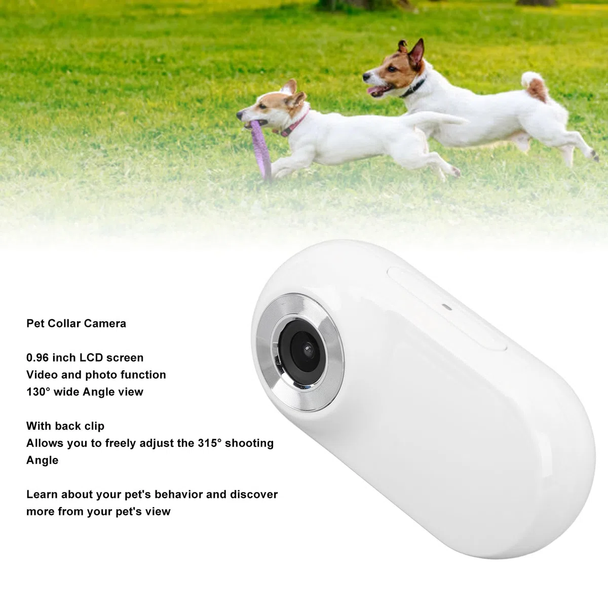 Annadue Collar de Cámara para Mascotas, Cámaras para Mascotas HD 1080P, Cámara de Acción con Collar de Gato con Soporte Ajustable,Cámara para Collar de Perro para Suministros para