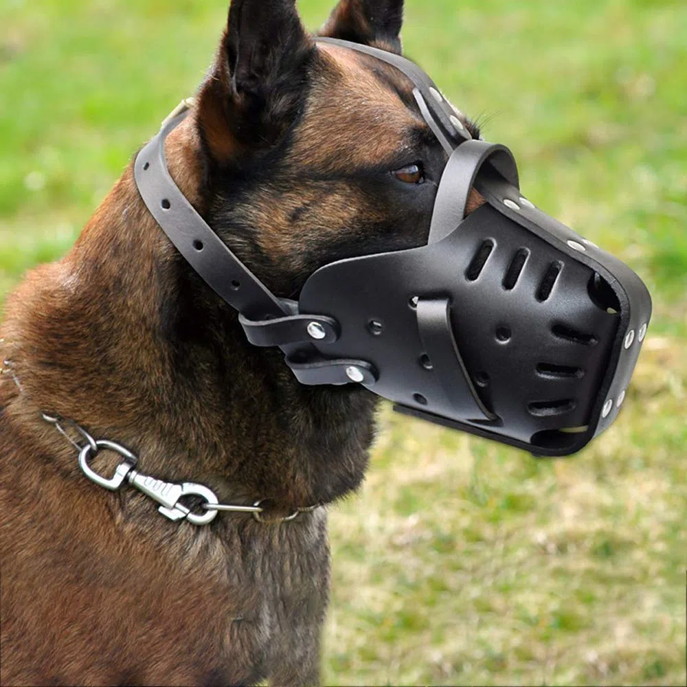 Control de mordida y masticación: Ajustable for Perros pequeños, medianos Grandes