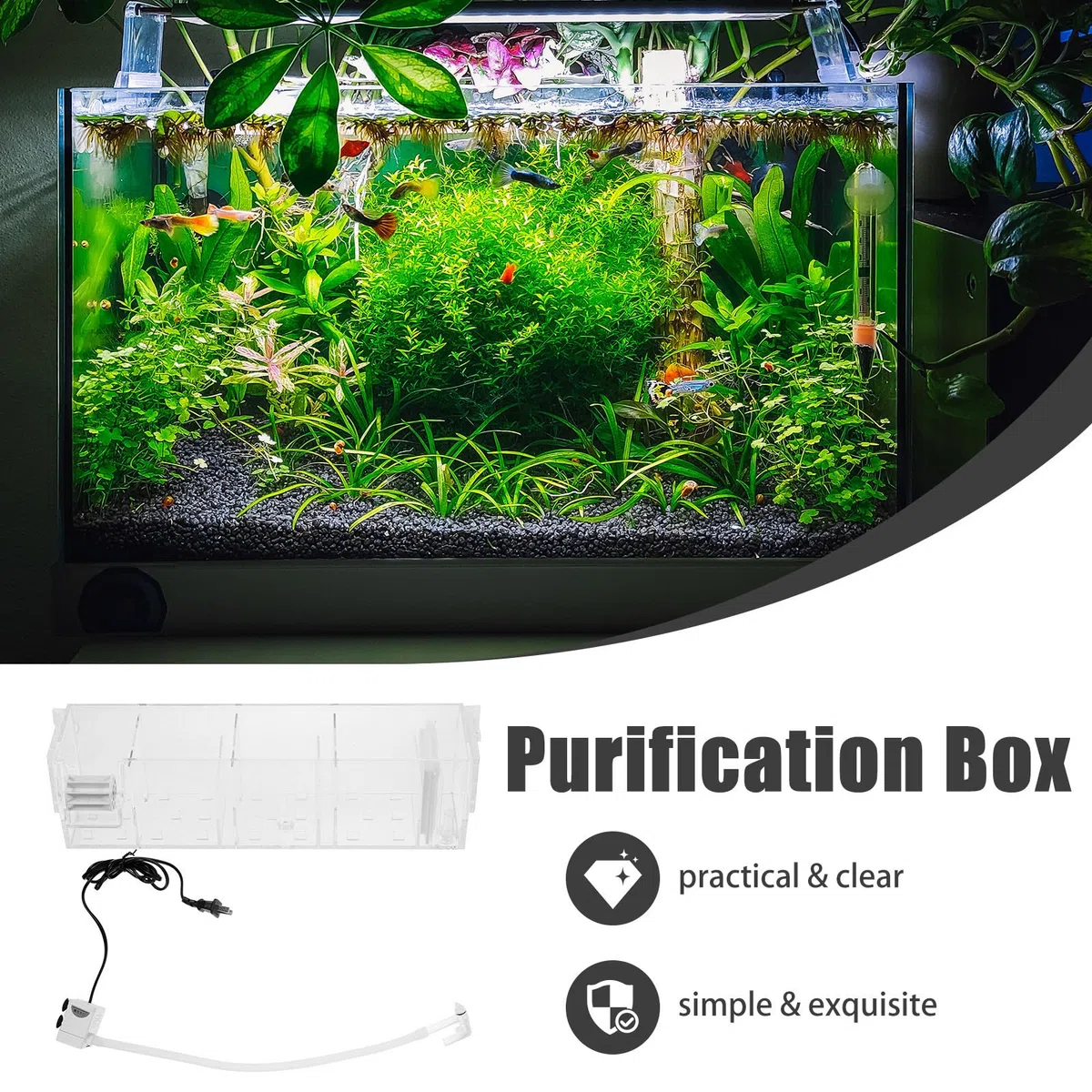 Caja de Filtro para Pecera con Bomba Integrada, Acrílico Reutilizable y Diseño Simple para Acuario Doméstico Silencioso y Fácil de Usar