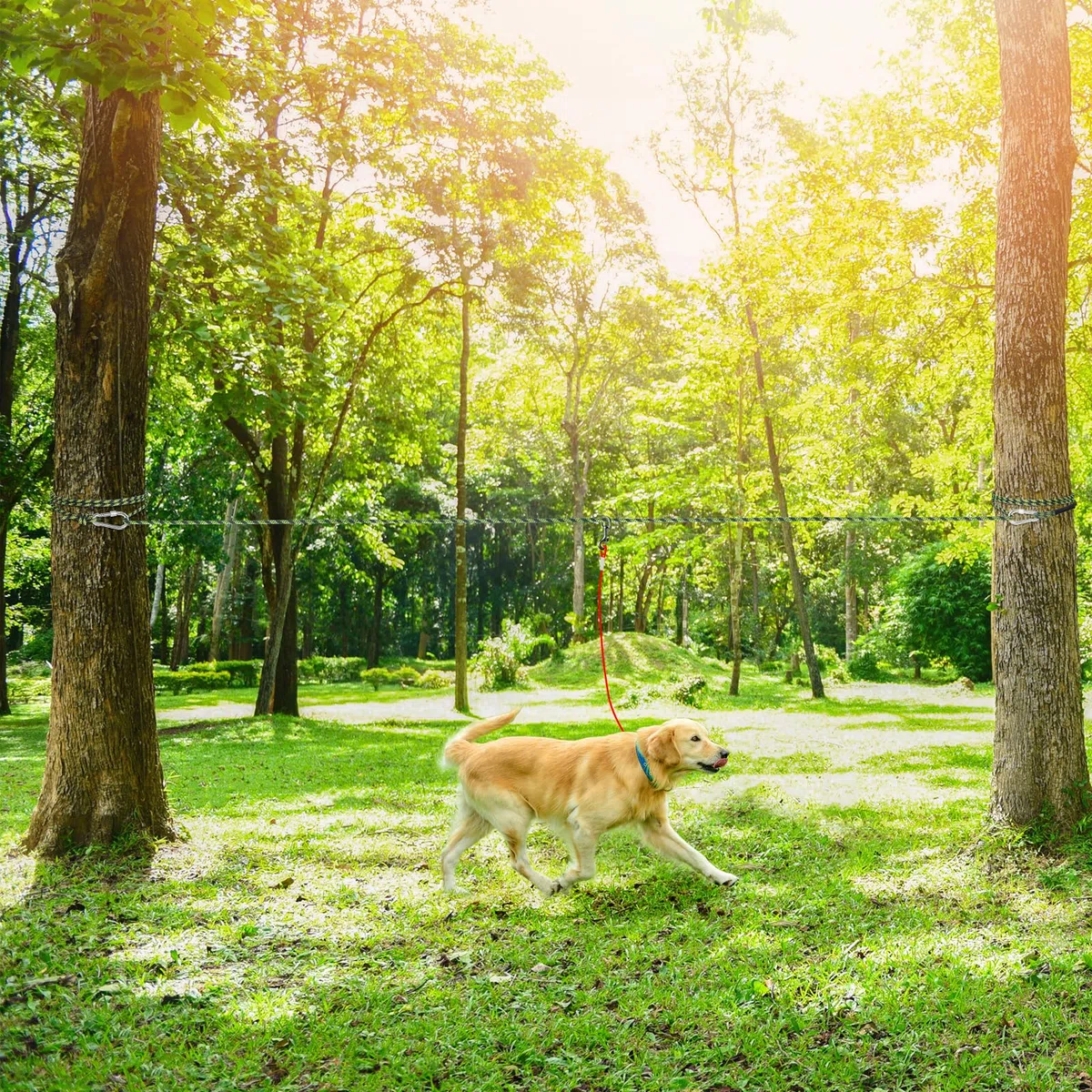 Tresbro Cuerda de cable de amarre para perros de hasta 300 libras, verde militar, 75 pies