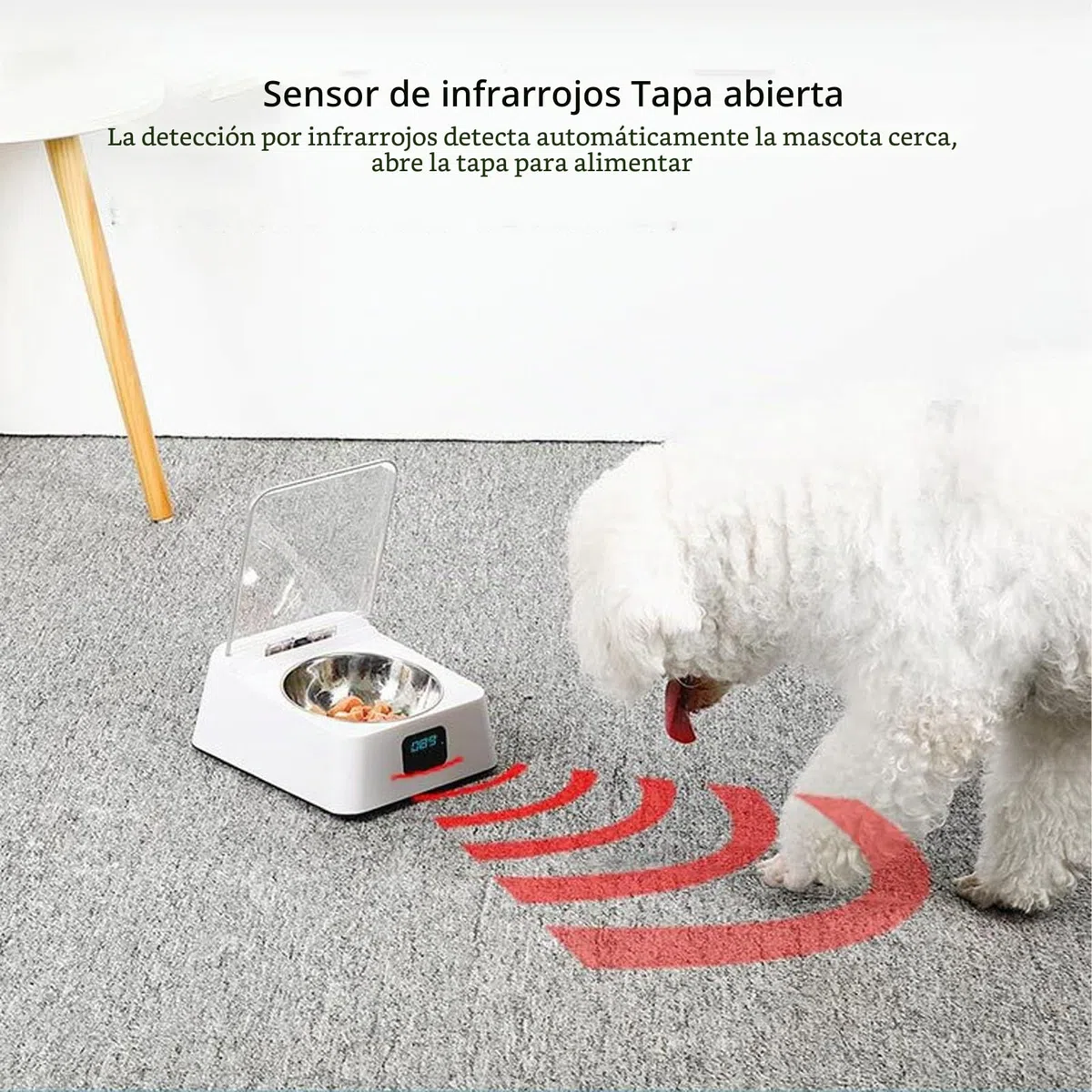 Cuenco de Alimentación Inteligente Automático para Gatos, Comedero Sensible para Mascotas, Tapa Que Evita Resbalones, Inducción IR para Mascotas Pequeñas, Comedero para Gatos