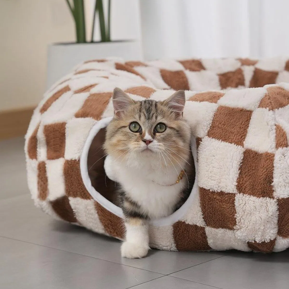 Cama Cueva Para Gatos Desmontable De Mascotas | De Juego Y Cueva Para Dormir Mascotas Pequeñas Interior Dormitorio Sala De Estar Balcón Apartamento Invierno