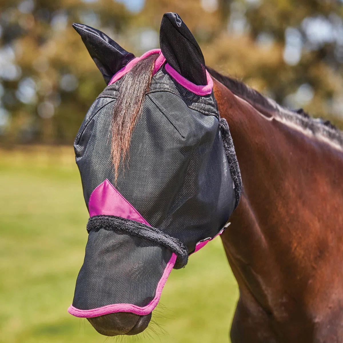 Weatherbeeta - Máscara Antimoscas con Agujeros para Orejas y Nariz de Malla Comfitec Deluxe Duradero (Media Sangre) (Negro, Morado)