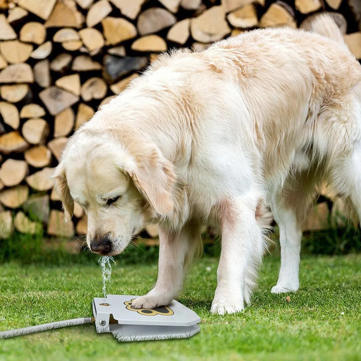 Juguetes Fuente De Agua para Perros Exterior Dispensador De Agua para