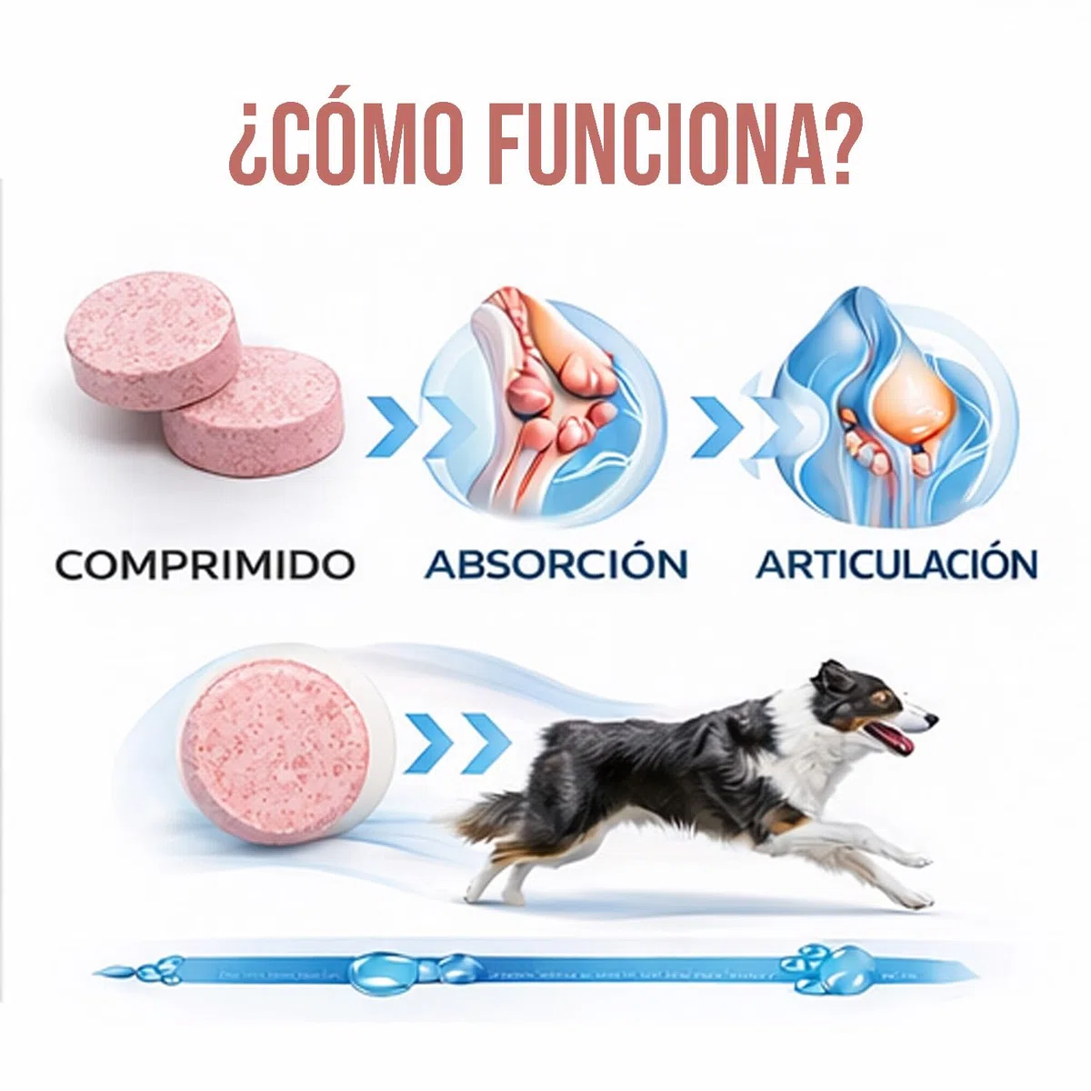 Laboratorios Pino Pinoquin Plus Condroprotector para Perros y Gatos con MSM, Glucosamina, Condroitina, Colágeno y Ácido Hialurónico, Apoyo Articular 160 Comprimidos