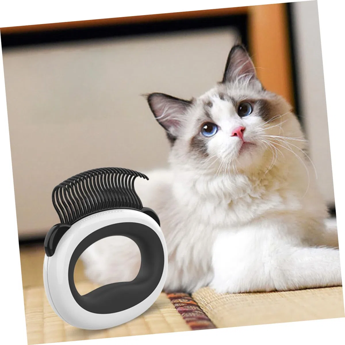 SUPVOX 5 Piezas peine flotante cepillo mascotas cepillo para mascotas auto limpieza herramienta de skate perro peines adorable peine de gato cepillo para gatos gatito peine de limpieza
