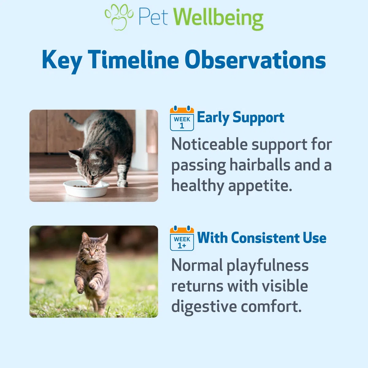 Pet Wellbeing Hairball Gold for Cats - Hairball & Digestive Support, 4 oz Item Highlight