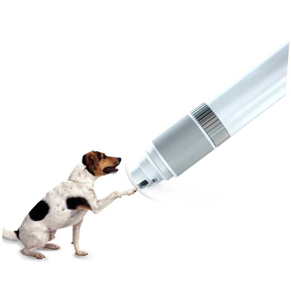 Cortaúñas Eléctrico para Gatos Velocidad Ajustable y Diseño Silencioso | Blanco, Abs PC Pa, 3.7v 2000 Ma, para Mascotas, Formato Portátil, Uso en Gatos y Perros