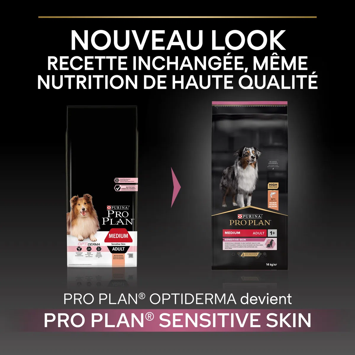 Pro Plan - Medium Adult Sensitive Skin con Optiderma, Rico en salmón – 7 kg – Pienso para Perros Adultos de tamaño Mediano