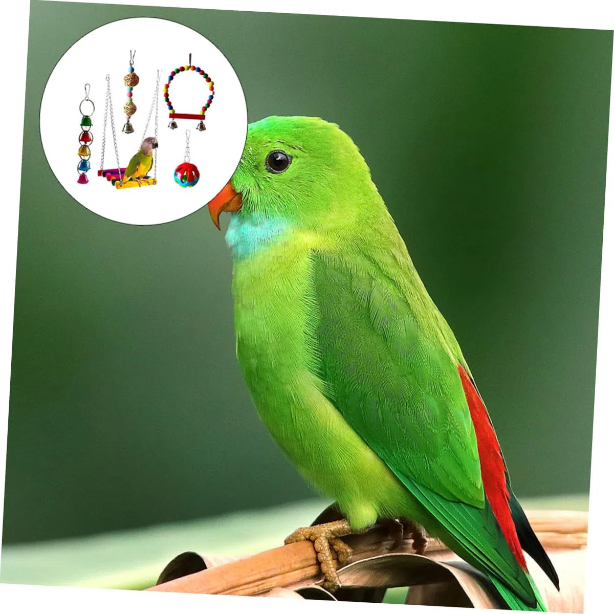 5piezas Juguetes para Masticar De Pájaros Set De Juguetes para Periquitos y Cacatúas Estimula El Desarrollo Inteligencia Aves Material Natural y Resistente