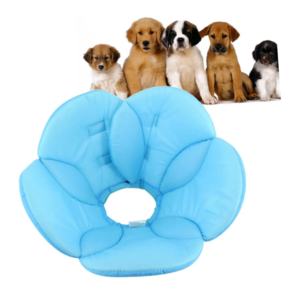 BESPORTBLE 3 para Collar De Mordedura De Perro para Mascotas
