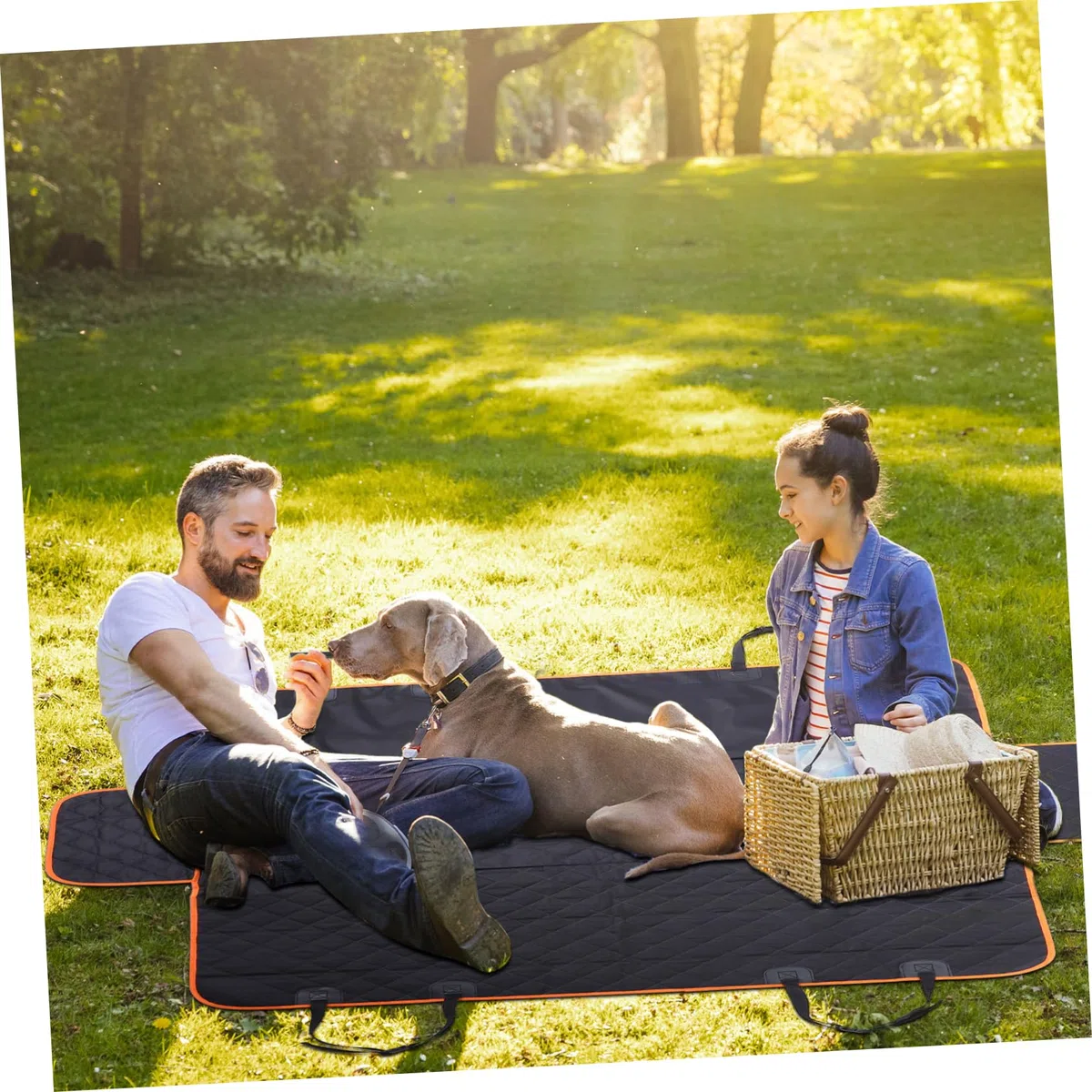 Abaodam Funda para Asiento de Coche para Mascotas, Hamaca para Perros Grandes, Estilo Sencillo Diseño de Gemas, Protección Versátil para Coches