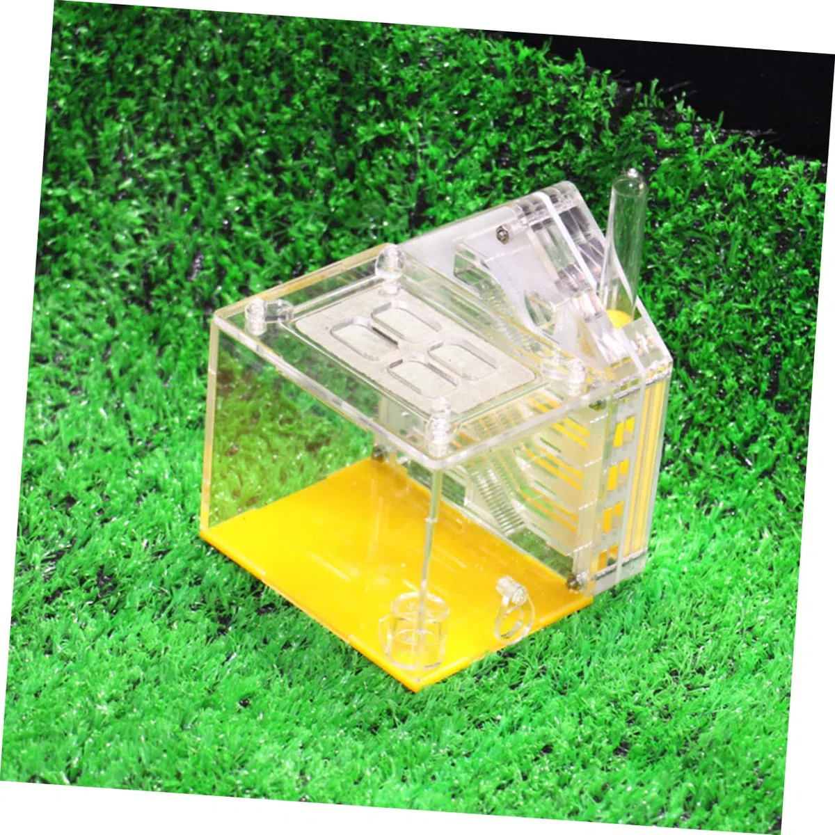 TOYANDONA Juguete Nido de Hormigas Regalo hábitat Granja de Hormigas Transparente Acrílico terrario