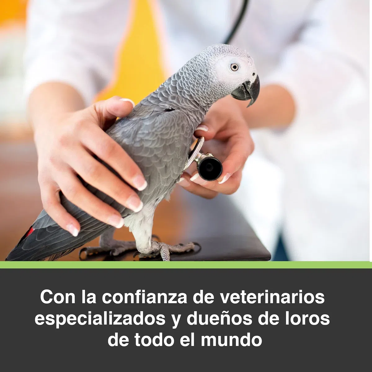 Tropican Alimento para Loros con Formula Alternativa - 1,8 kg